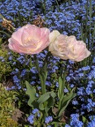 IMG 20190422 112919
