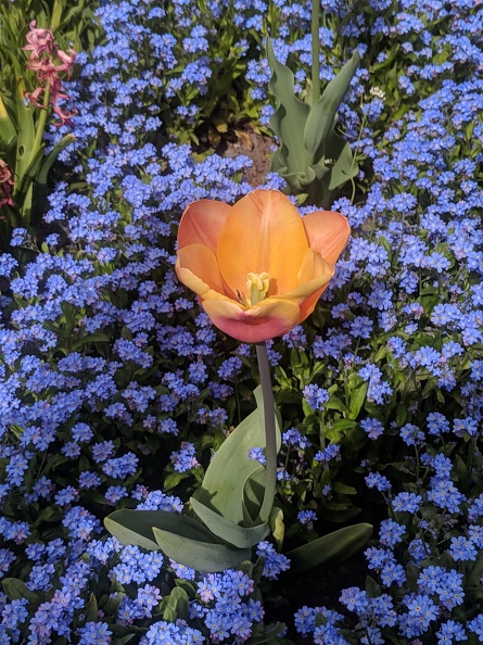 IMG 20190422 112934