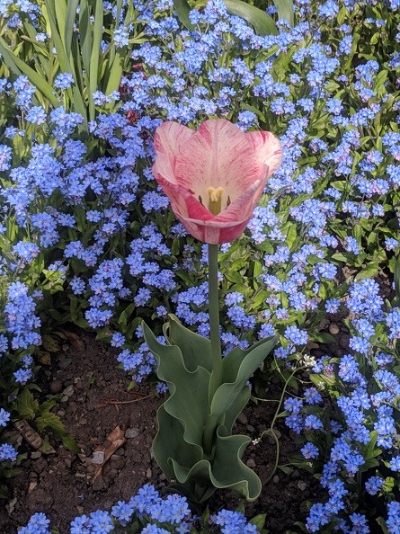 IMG 20190422 112940