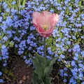 IMG 20190422 112940