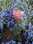 IMG 20190422 112940