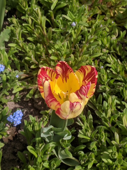 IMG 20190422 113011