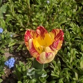 IMG 20190422 113011
