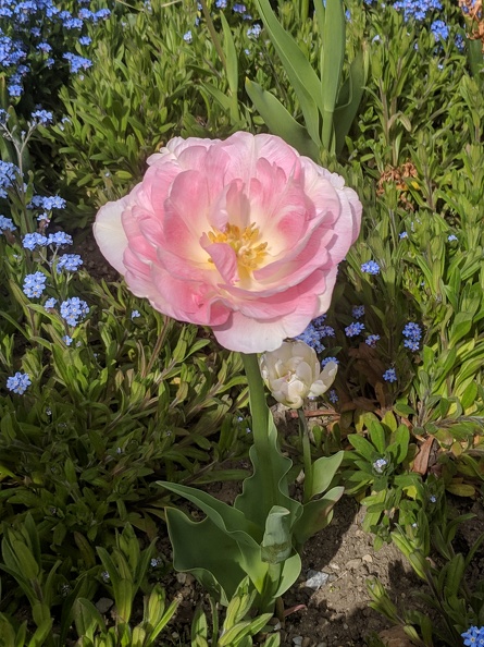 IMG 20190422 113024
