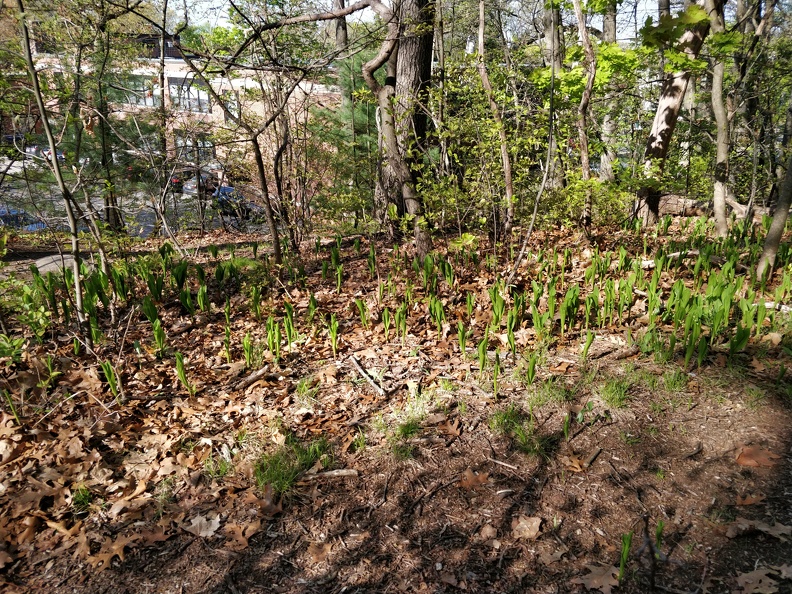 IMG 20190507 083617