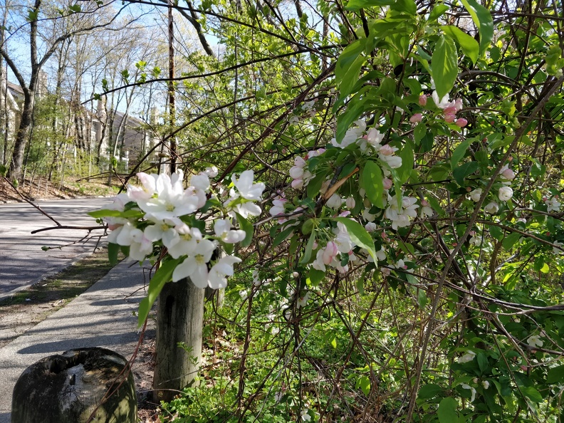 IMG 20190507 083815