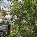 IMG 20190507 083815