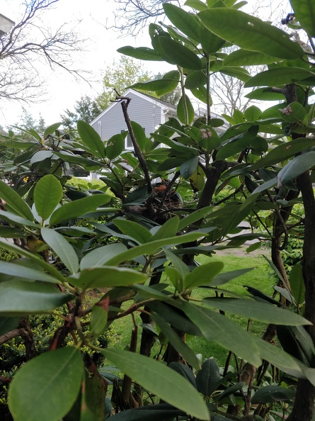 IMG 20190515 185532