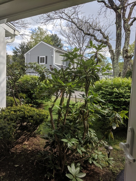 IMG 20190516 161909