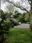 IMG 20190524 172819