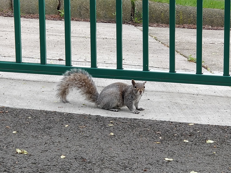 IMG 20190505 172319