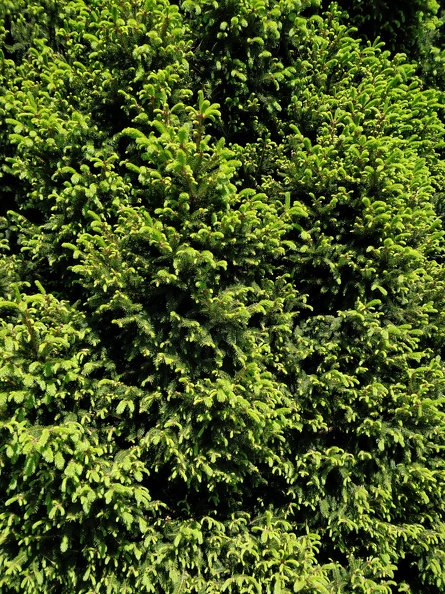 IMG 20190518 144026