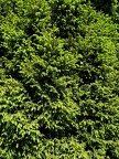 IMG 20190518 144026
