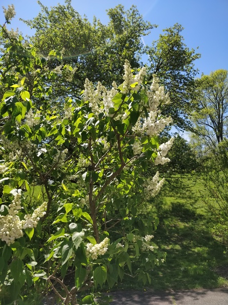 IMG 20190518 122203