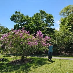 Arboretum