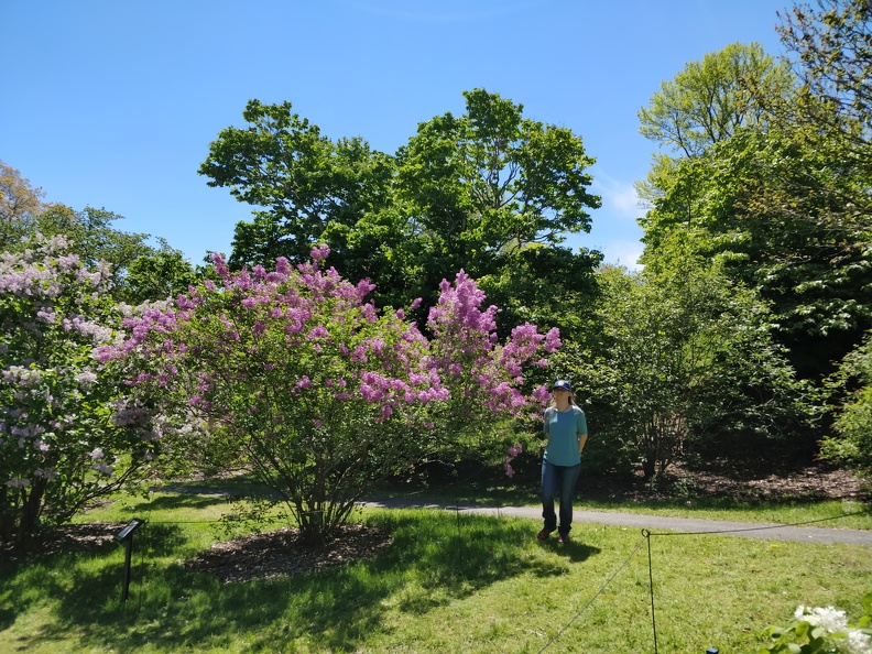IMG 20190518 122454