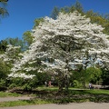 IMG 20190518 130507