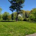 IMG 20190518 131939