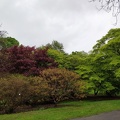 IMG 20190512 113127