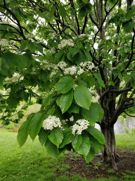 IMG 20190512 113841