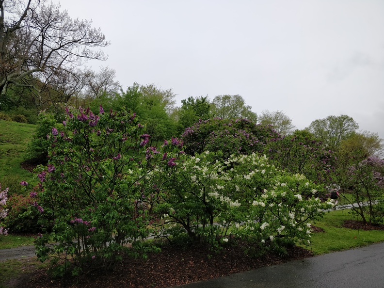 IMG 20190512 114947