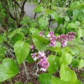 IMG 20190512 115142