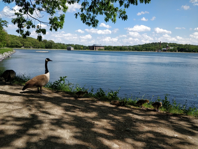 IMG 20190526 151404