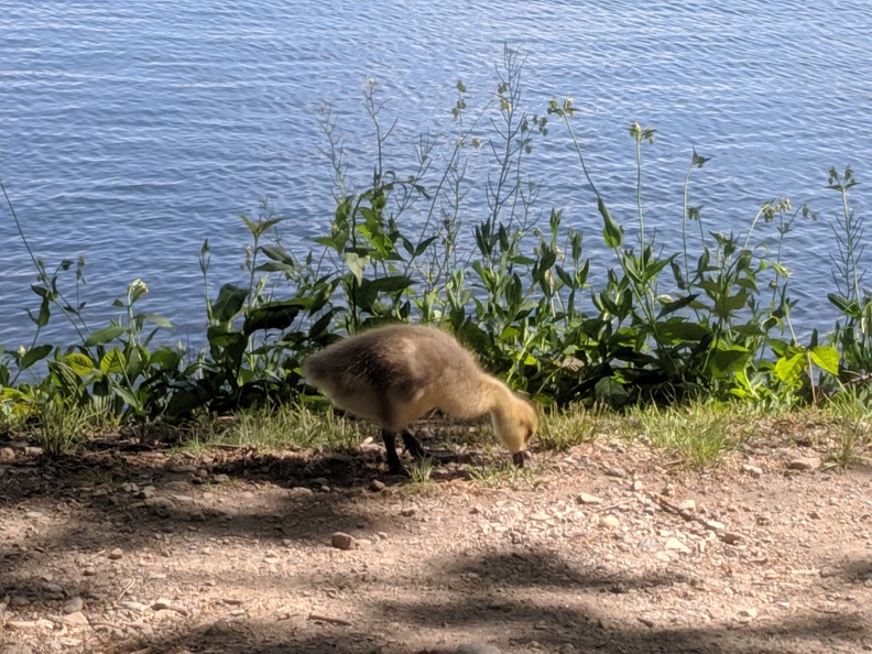 IMG 20190526 151428