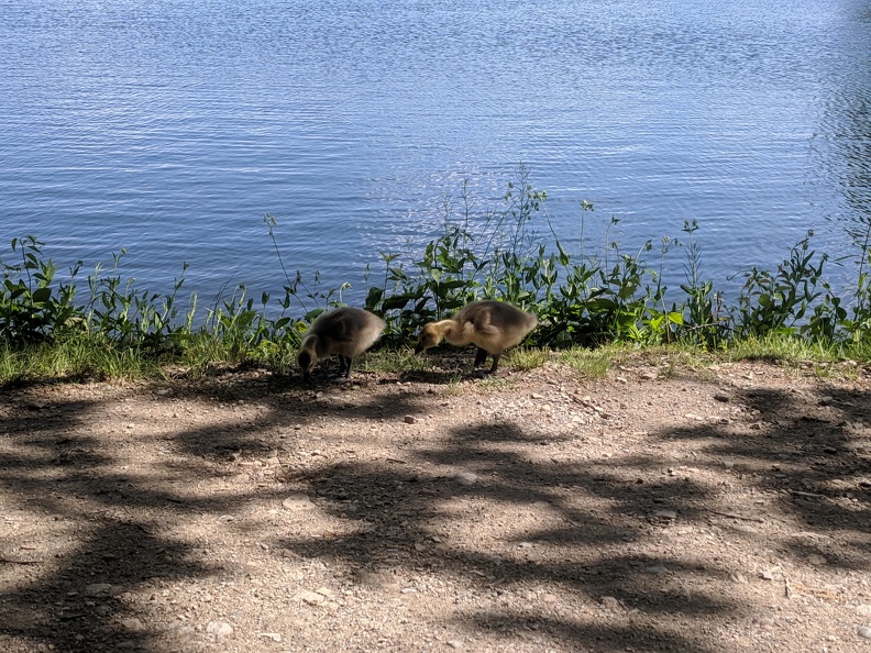 IMG 20190526 151503 (2)