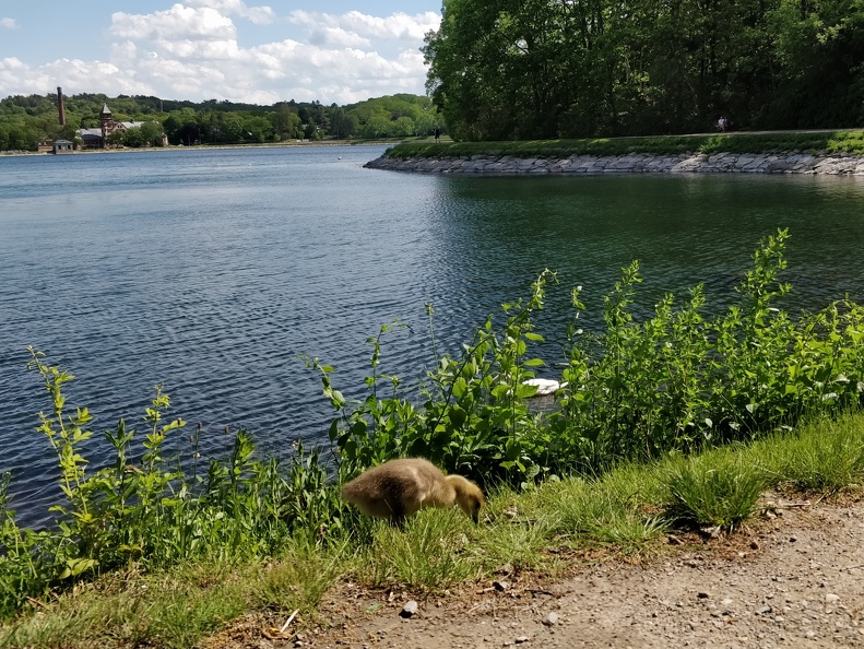 IMG 20190526 151723
