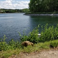 IMG 20190526 151723
