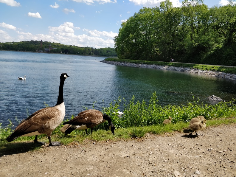 IMG 20190526 151751