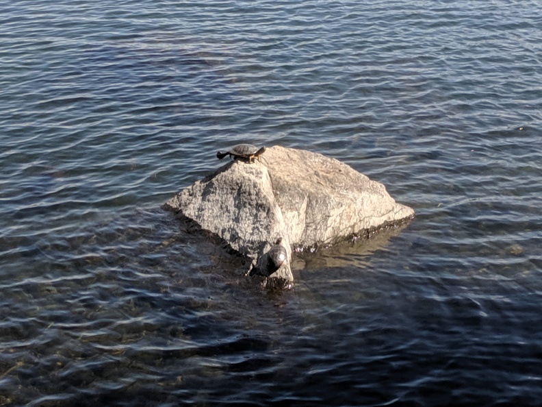 IMG 20190526 151810