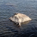 IMG 20190526 151810