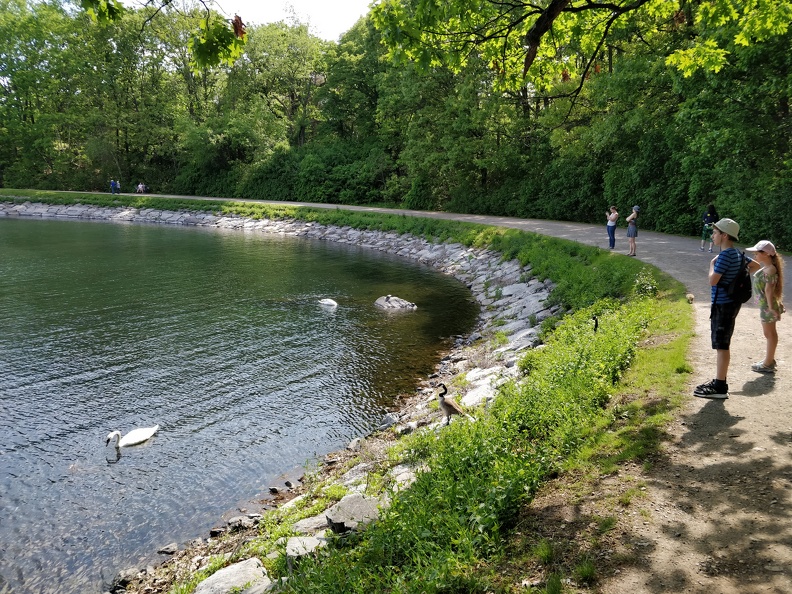 IMG 20190526 151918
