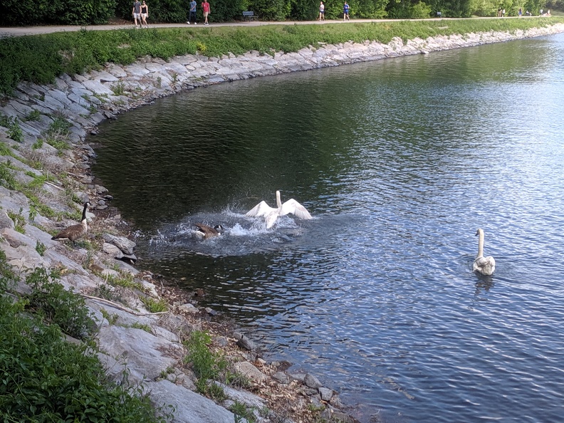 IMG 20190526 152040