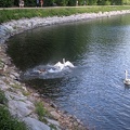 IMG 20190526 152040