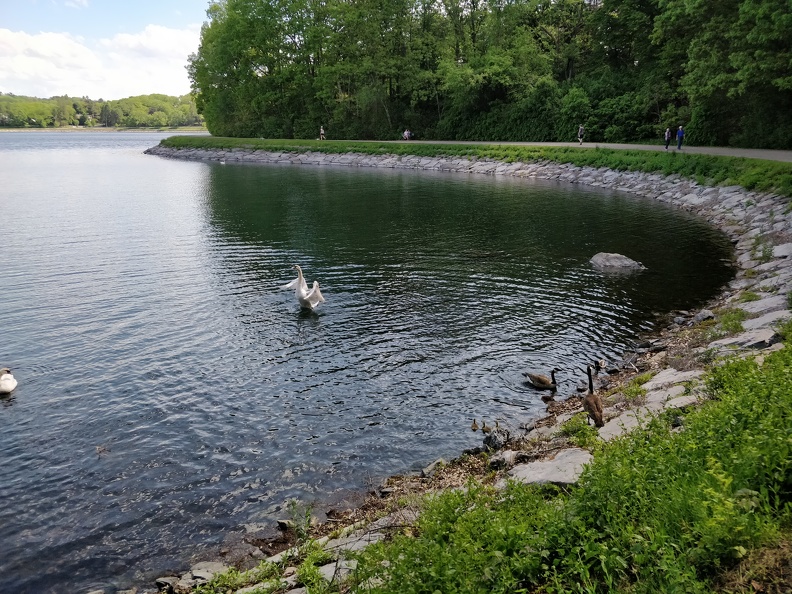 IMG 20190526 152103