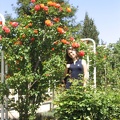Roses Garden 003