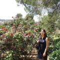 Roses Garden 005