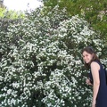 Roses Garden 007
