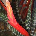 Flowers Exhibition 005