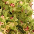 Flowers Exhibition 013