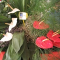 Flowers Exhibition 014