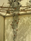 Flowers Exhibition 020