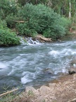 IMG 029.jpg