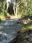 IMG 055.jpg