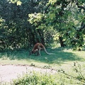 F1000011.jpg