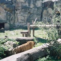 F1000022