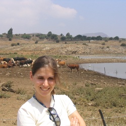 North of Israel, August 2004